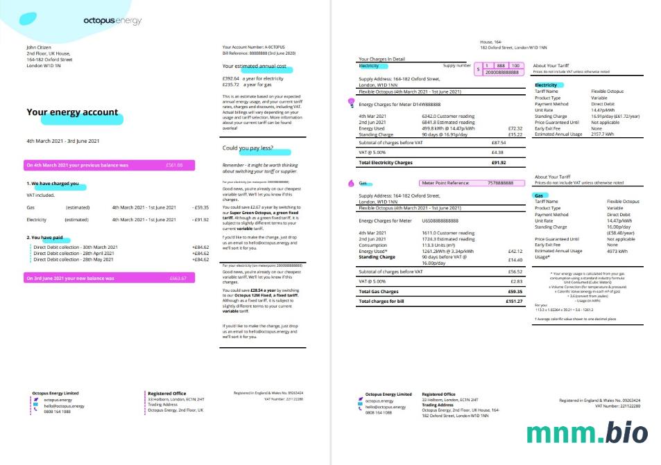 Szablon rachunku za energię w Wielkiej Brytanii Octopus w formacie Word i PDF, 3 strony 1 2